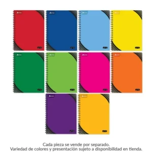 CUADERNO NORMA UNO PROFESIONAL C/ESPIRAL C7/C5 100JS
