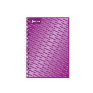 CUADERNO NORMA FRANCES UNICOLOR RY 100H