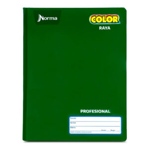 CUADERNO NORMA COSIDO PROF RAYA 100 HJS (581280)