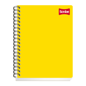 CUADERNO PROFESIONAL 100 HJS RAYA