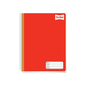 CUADERNO SCRIBE PROFESIONAL RAYA 100H 7970
