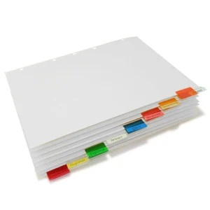 SEPARADOR 8 DIV CEJA COLOR